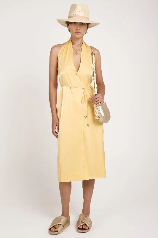 Dresses for intimate gatherings-Seraphine Midi Dress in Ananas